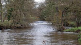 The River Dove at Norbury