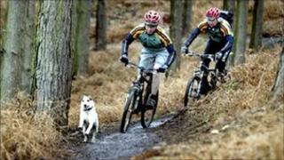 Cycling trail