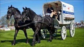 Horsedrawn replica WWI ambulance