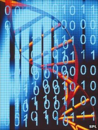 DNA and digital information artwork