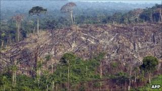 Deforestation of the Amazon (file image)