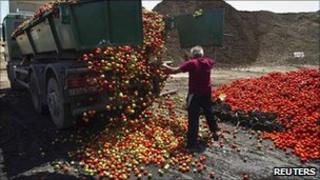 Discarded vegetables are unloaded in Nijar, in the southern Spanish region of Almeria, 8 June 2011.