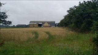 The farm at Stapleford Tawney
