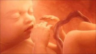 Baby in the womb