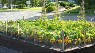 Edible borders