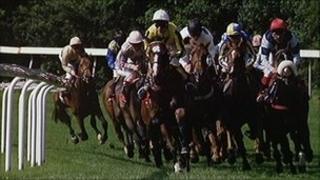horse race