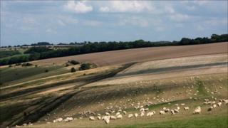 Oxfordshire countryside