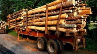 Trailer stacked with logs