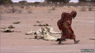 A woman walks past carcasses in Kenya on 8 August