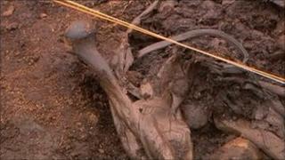 Part of a body found in a bog in Ireland