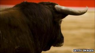 File image: Bull in Barcelona, Spain - 17 July 2011