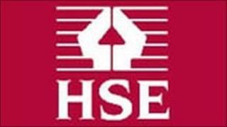 HSE logo