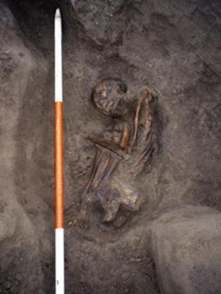 Mummy remains