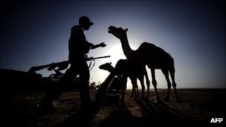 A Libyan rebel walks towards a camel at an advanced position near Al-Sadaadi on the road between Misrata and Sirte on August 31, 2011