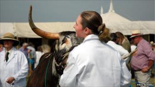 The Dorchester Show, 2005