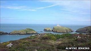 Pen Strwmbwl yn Sir Benfro