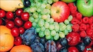 fruit