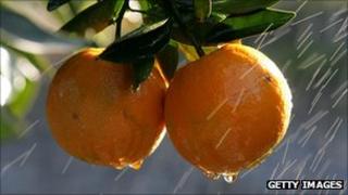 Oranges
