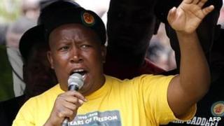 Julius Malema addresses a crowd
