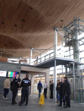 Y Senedd
