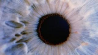 Close-up of human eye