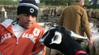 Jamie's Farm