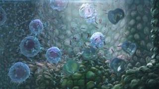 CGI image of immune system