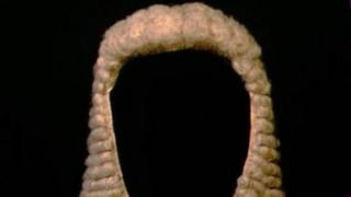 A judge's wig