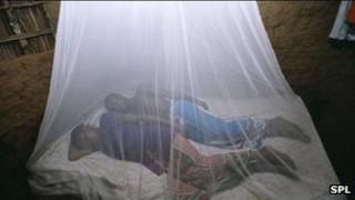 People sleeping under a malaria net