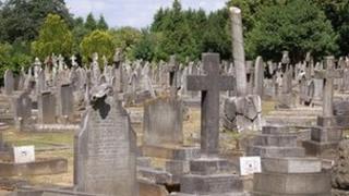 A cemetery (generic)