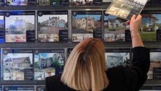 Estate agent