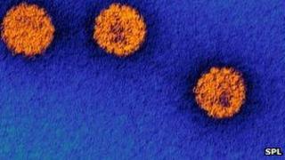 HPV particles