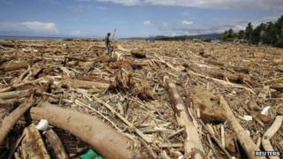 A man gathers wood amid logs and debris washed ashore on Tuesday, four days after Typhoon Washi hit a village in Iligan city, southern Philippines