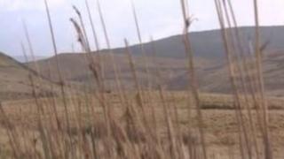 Y Mynydd Du