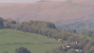 Mynydd y Betws