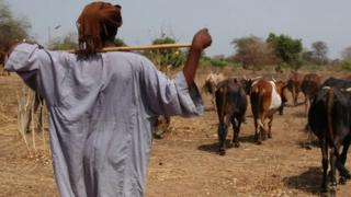 File photo of cattle farmer in South Sudan