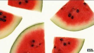 Watermelon slices
