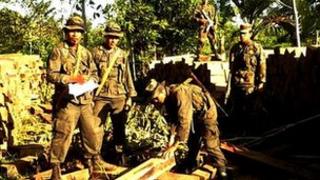 Eco Battalion forces confiscate illegal lumber - Nicaraguan army photo