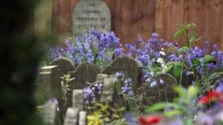 Headstones in a pet cemetery