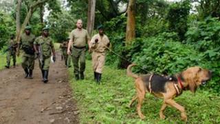Dogs training at Virunga, September 2011
