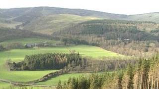 Generic rural landscape