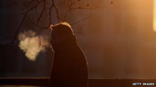 Silhouette of a man