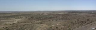 Afar (CMNH)