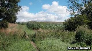 Land next to Countess of Chester Hospital