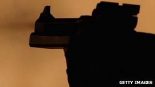 Gun