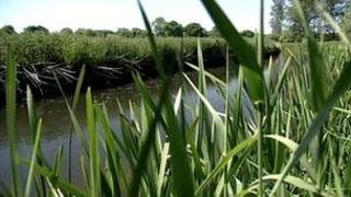 River Wensum