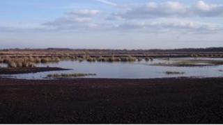 Wedholme Flow mosses, Solway Plain