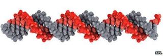 DNA artwork
