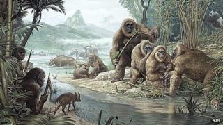 Gigantopithecus