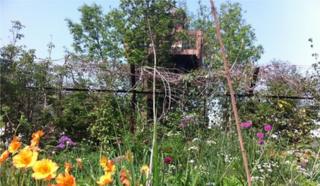 Quiet time: Korea DMZ Forbidden Garden by Jihae Hwang